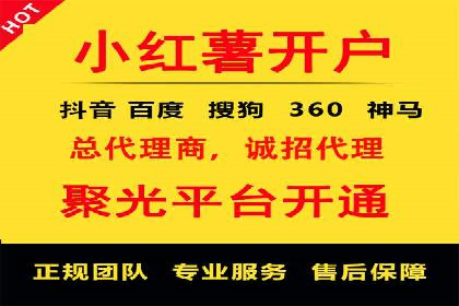 SEO与SEM优化案例：打造行业领先品牌